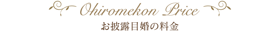 お披露目婚の料金