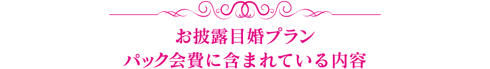 お披露目婚プラン会費に含まれている内容